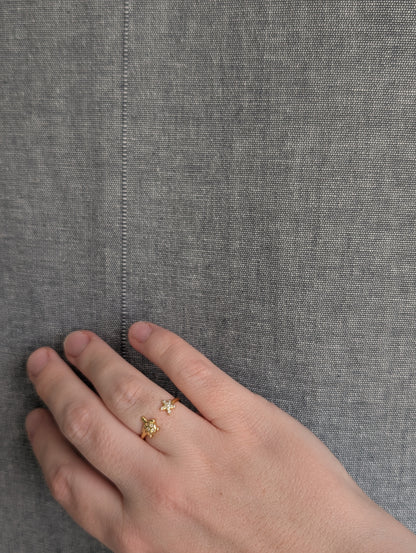 Verstellbarer Ring mit Schildkröte & Seestern – Edelstahl | Silber oder Gold | 1170